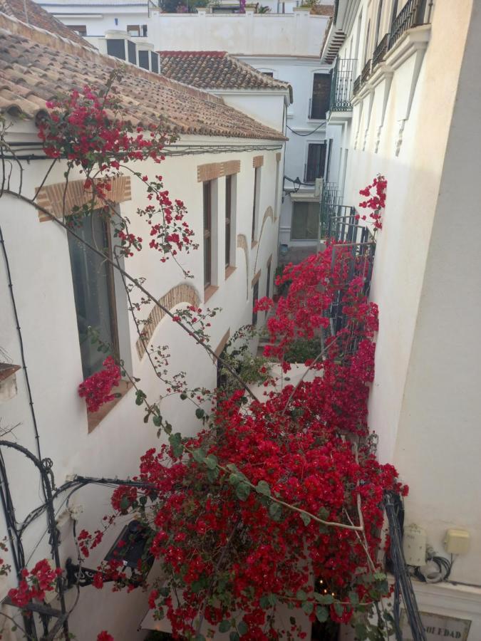 Precioso Y Acogedor Atico Old Town Apartman Marbella Kültér fotó